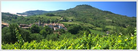 Visão típica do terroir de Limoux, com elevações iniciais em direção aos Pirineus