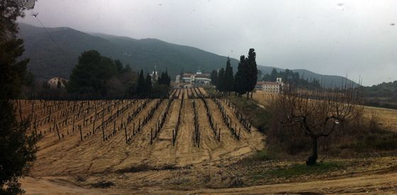 The vineyards up the hills and at large the Saint Pateleimon monastery group (photo Carlos Arruda)