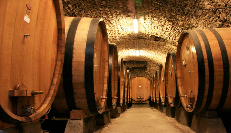 Cave de Chianti com as tradicionais `bottes´ de carvalho Eslavônio