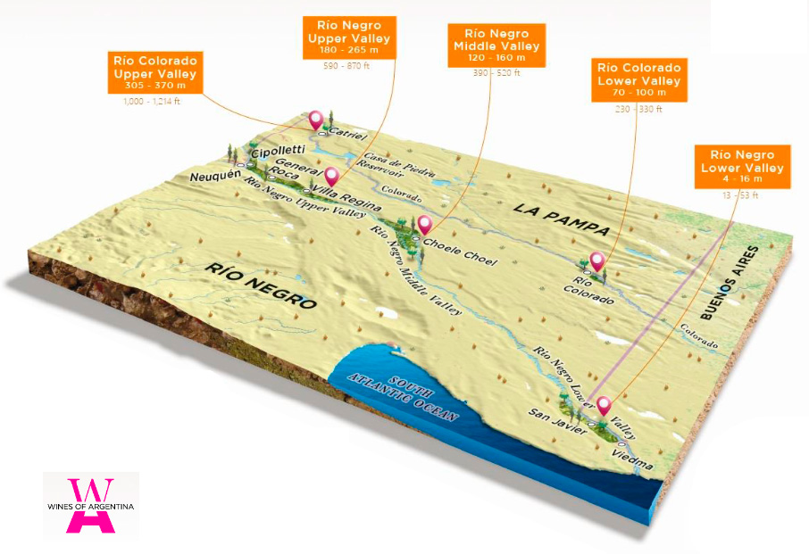 Mapa vinícola de Rio Negro