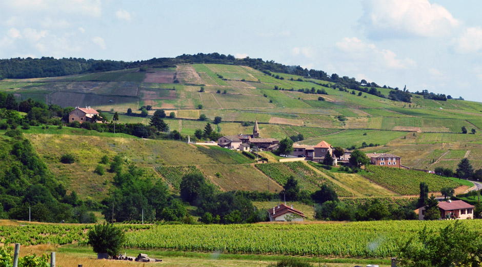 Os vinhedos de Saint-Amour são vizinhos a Saint-Véran, Macon (foto e-vigneron.com)
