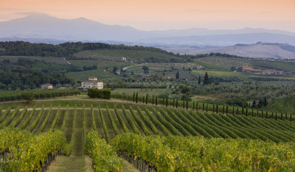 Vista das colinas da região do Chianti (imagem Chianti Classico)