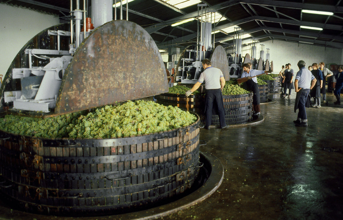 Prensas tradicionais de Champagne (foto Michel Hetier - Comité Champagne)