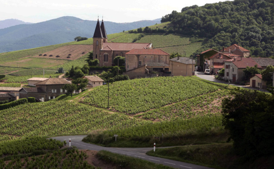 Os vinhedos de Reignié circundam a igreja de Régnié-Durette (foto Inter Beaujolais)